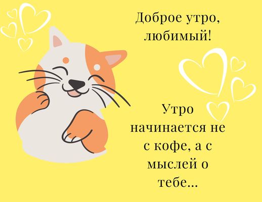 Открытка «С добрым утром»: Доброе утро, любимый! Нежность и мысли о тебе. Тэги: кот, животное, пожелание, позитивная…