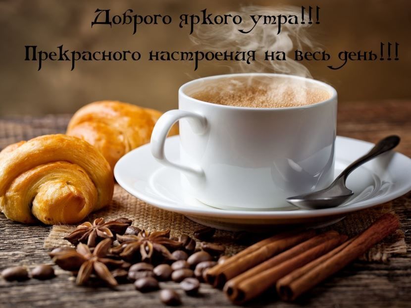 Открытка «С добрым утром»: Доброго яркого утра и прекрасного настроения!. Тэги: Добрый день, С добрым утром, для подн…
