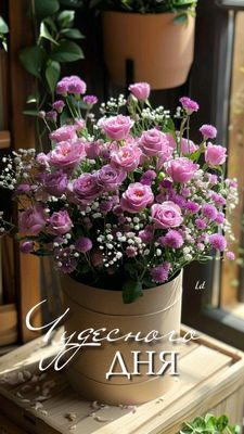 Открытка «С добрым утром»: Розовый букет и пожелание чудесного дня. Тэги: хорошего дня, пожелание, позитивная, утро…