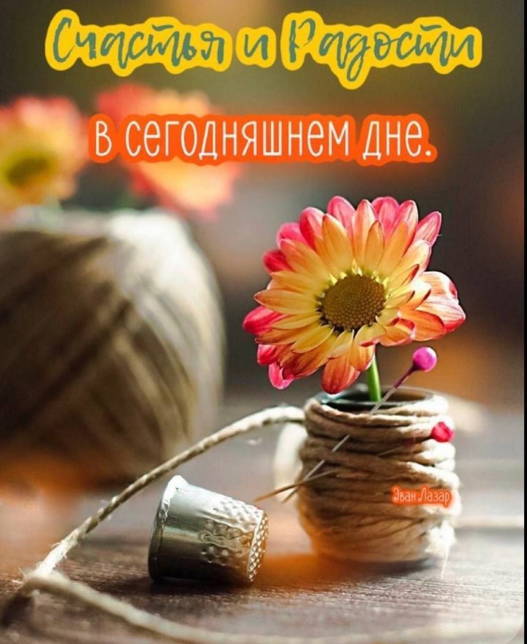 Открытка «С добрым утром»: Счастья и Радости в сегодняшнем дне. Тэги: пожелание, позитивная, утро, красивая, радость…
