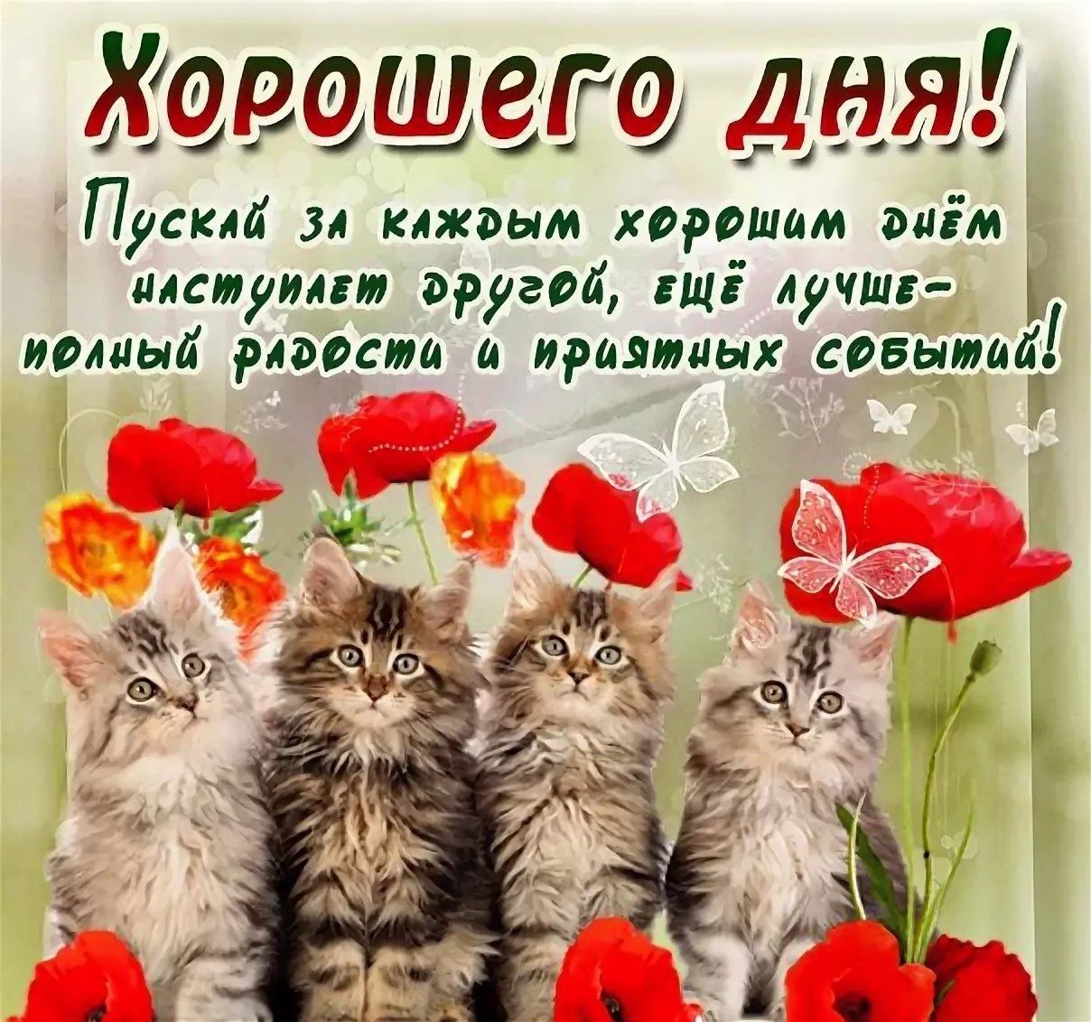 Открытка «Хорошего дня»: Пушистые котята и пожелание хорошего дня!. Тэги: животное, пожелание, позитивная, улыбка…