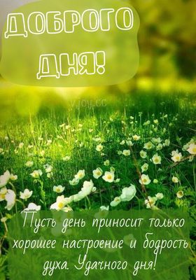 Открытка «Хорошего дня»: Доброго дня: весенние цветы и хорошее настроение. Тэги: пожелание, позитивная, отличное наст…