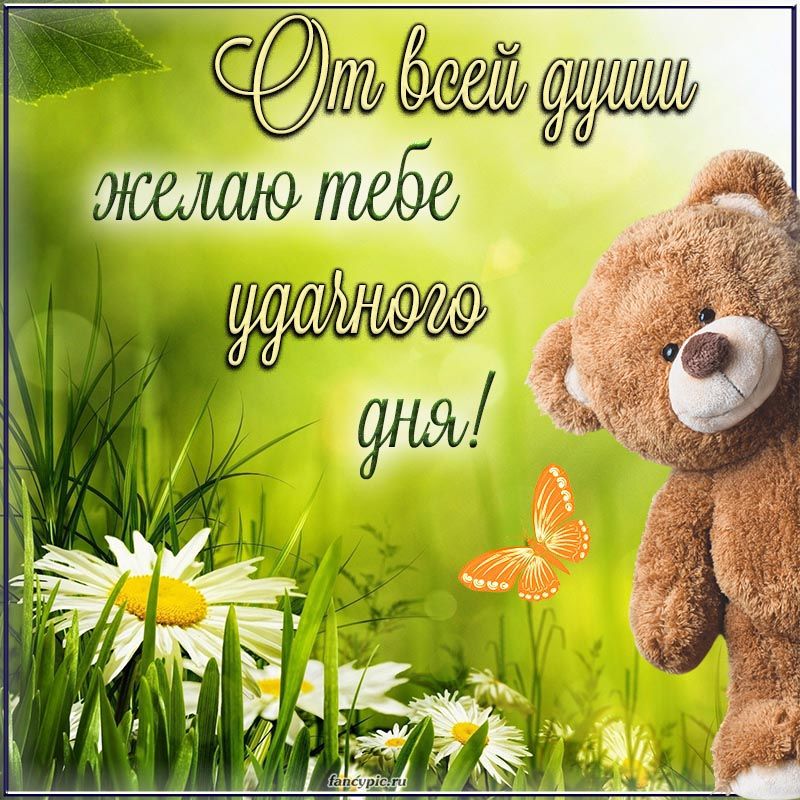 Открытка «Хорошего дня»: Утреннее пожелание от мишки на удачный день. Тэги: пожелание, позитивная, отличное настроение…