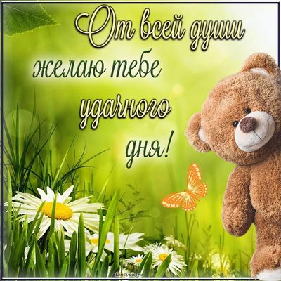 Открытка «Хорошего дня»: Утреннее пожелание от мишки на удачный день. Тэги: пожелание, позитивная, отличное настроение…