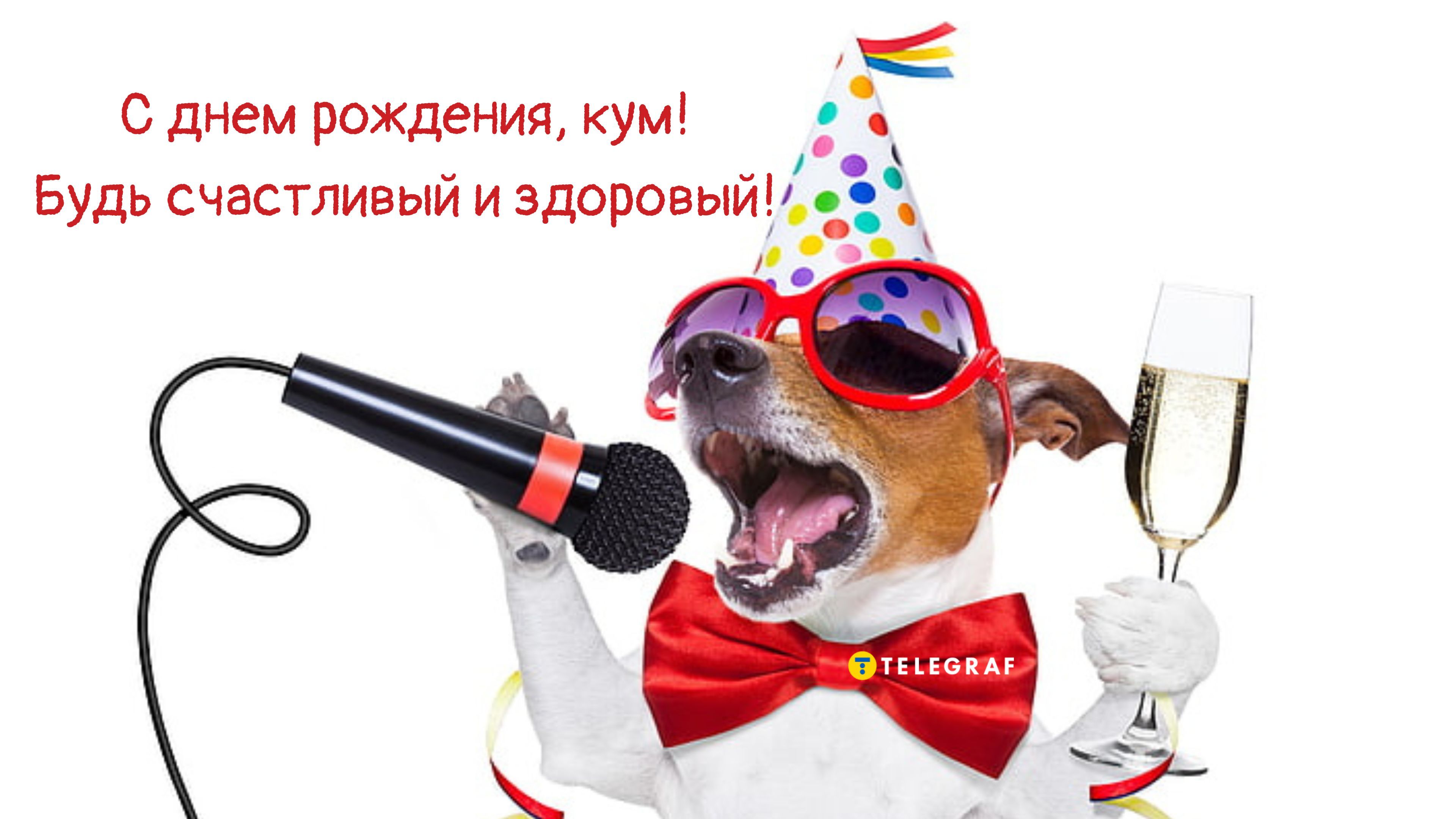 Открытка «С добрым утром»: С днем рождения, кум! Будь счастлив!. Тэги: с днем рождения, животное, пожелание, юмор…