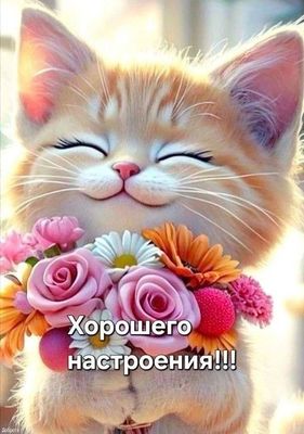 Открытка «С добрым утром»: Улыбчивый котик с цветами: хорошего настроения!. Тэги: кот, животное, пожелание, позитивная…