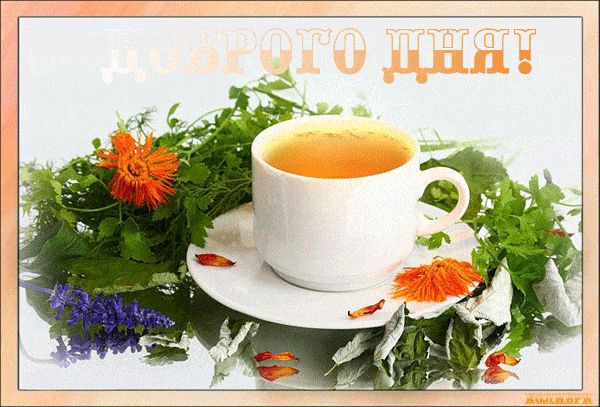Открытка «Хорошего дня»: Доброго дня: глоток лета и свежих трав. Тэги: пожелание, позитивная, отличное настроение…