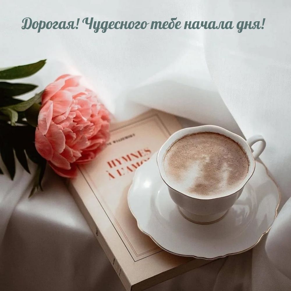 Открытка «С добрым утром»: Дорогая, чудесного начала дня! Нежность утра.. Тэги: пожелание, позитивная, утро, женщина…