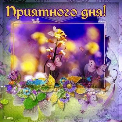 Открытка «Хорошего дня»: Приятного дня: нежность цветов и бабочек. Тэги: пожелание, позитивная, отличное настроение…