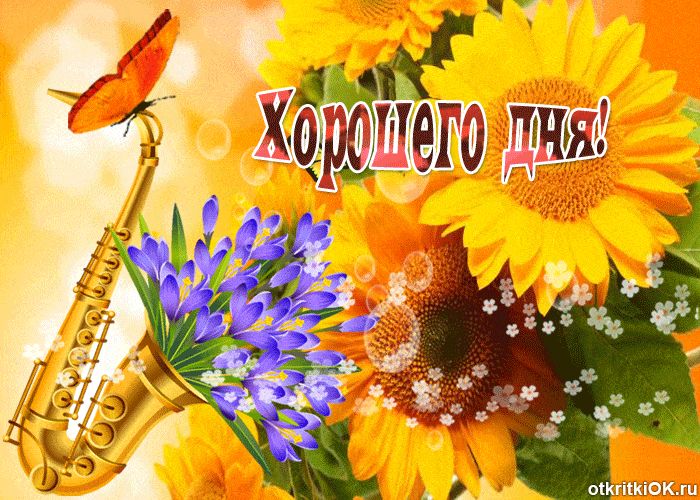 Открытка «Хорошего дня»: Яркое пожелание хорошего дня с музыкой и цветами. Тэги: пожелание, позитивная, красивая…