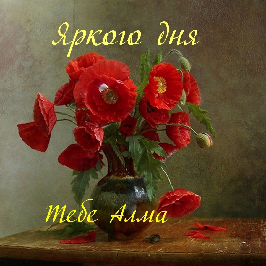 Открытка «Добрый день»: Яркого дня, Алма! Красные маки тебе. Тэги: Добрый день и добрые пожелания, Добрый день…