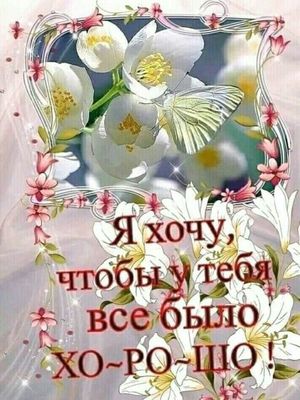 Открытка «Добрый день»: Доброе утро: нежное пожелание на все хорошо!. Тэги: Добрый день и добрые пожелания, Добрый де…