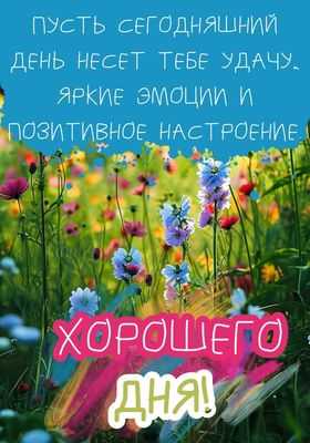 Открытка «Пожелание»: Яркого дня! Удача, эмоции и позитив в цветах. Тэги: позитивная, утро, красивая, цветок, настрое…