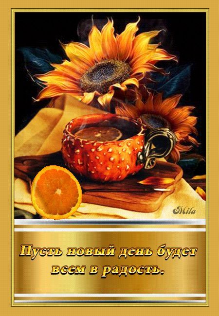 Открытка «Добрый день»: Солнечное утро с подсолнухами: пусть день будет в радость!. Тэги: Добрый день и добрые пожела…