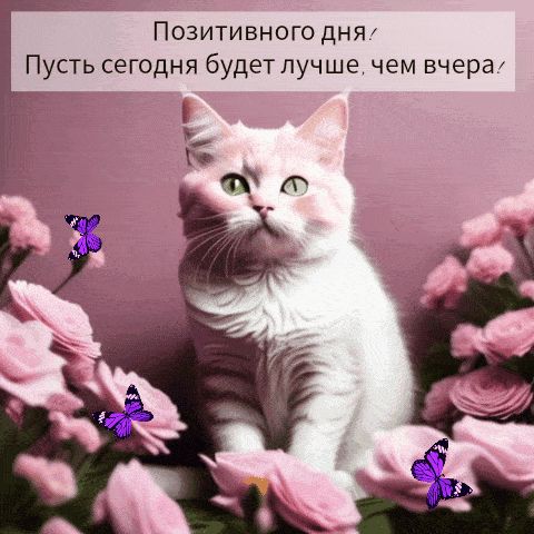 Открытка «Хорошего дня»: Позитивного дня! Нежный кот и розовые розы. Тэги: Добрый день, Для поднятия настроения…