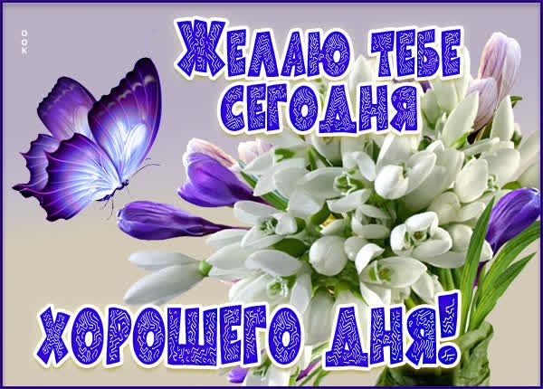 Открытка «С добрым утром»: Нежное утро: бабочка, цветы и лучший день!. Тэги: хорошего дня, пожелание, позитивная…