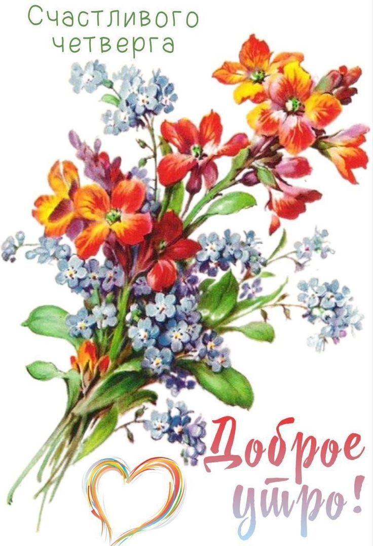 Открытка «С добрым утром»: Нежное доброе утро и счастливый четверг. Тэги: Добрый день, С добрым утром в четверг…