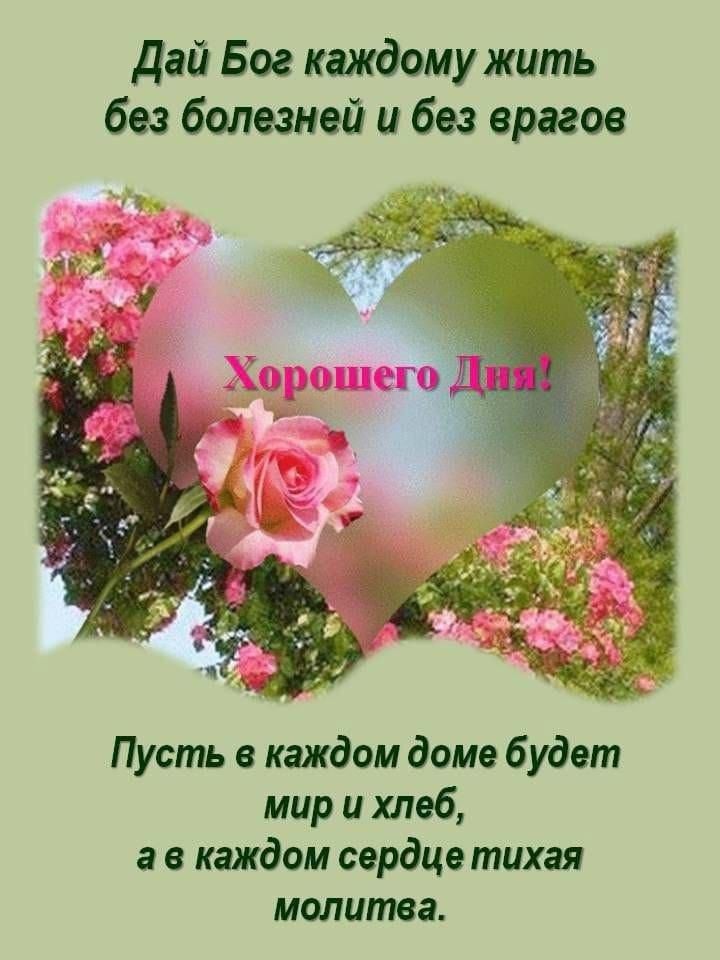 Открытка «Хорошего дня»: Хорошего Дня! Пожелания добра, мира и здоровья. Тэги: пожелание, позитивная, отличное настро…