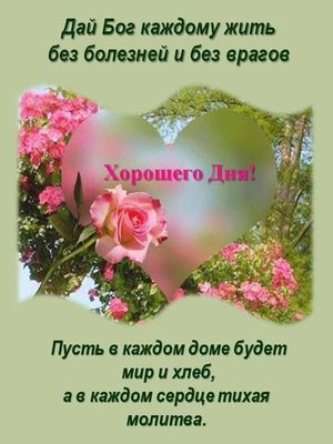 Открытка «Хорошего дня»: Хорошего Дня! Пожелания добра, мира и здоровья. Тэги: пожелание, позитивная, отличное настро…