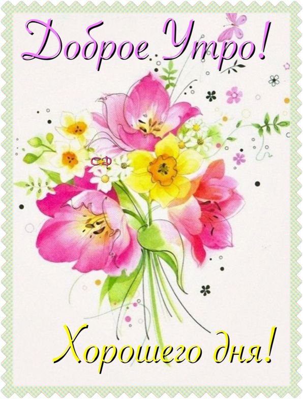 Открытка «С добрым утром»: Доброе утро: весенние цветы и солнечный день. Тэги: хорошего дня, пожелание, позитивная…