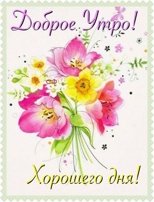 Открытка «С добрым утром»: Доброе утро: весенние цветы и солнечный день. Тэги: хорошего дня, пожелание, позитивная…