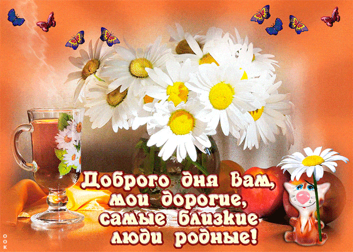 Открытка «Кот»: Доброго дня: ромашки, бабочки и теплые слова. Тэги: животное, пожелание, позитивная, утро, красивая…