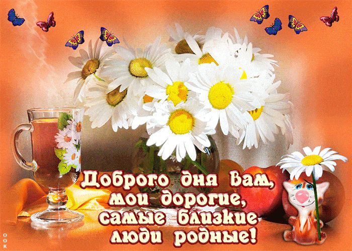 Открытка «Кот»: Доброго дня: ромашки, бабочки и теплые слова. Тэги: животное, пожелание, позитивная, утро, красивая…