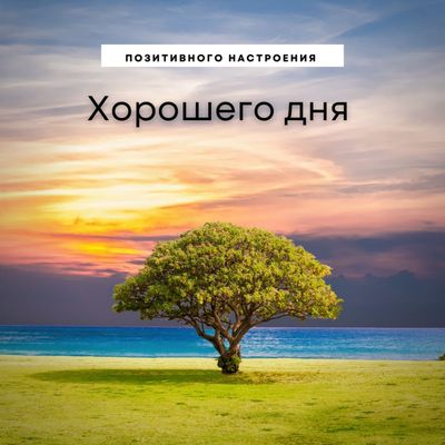 Открытка «Хорошего дня»: Позитивного настроения и хорошего дня!. Тэги: Добрый день, Добрый день и добрые пожелания…