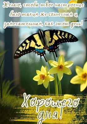 Открытка «Добрый день»: Солнечное пожелание: хорошего настроения и дня!. Тэги: Добрый день и добрые пожелания, Добрый…