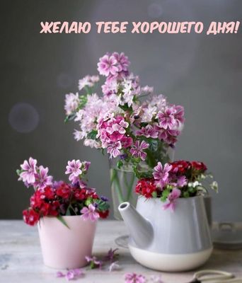 Открытка «С добрым утром»: Нежный цветочный букет для прекрасного дня!. Тэги: хорошего дня, пожелание, позитивная…