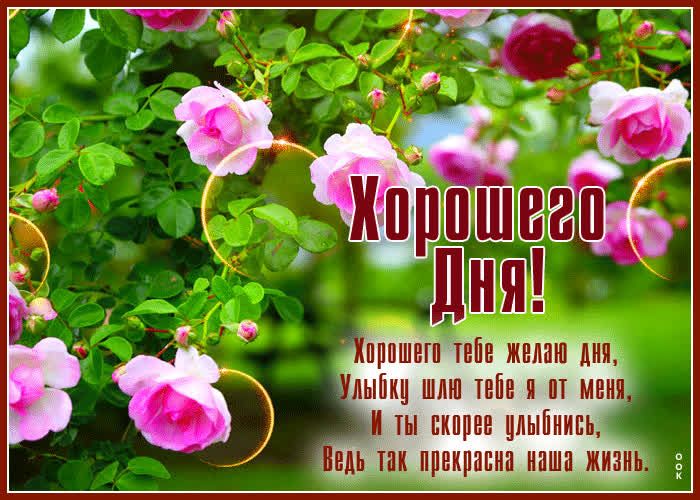 Открытка «Хорошего дня»: Розы и улыбка для хорошего дня. Тэги: пожелание, позитивная, улыбка, друг, подруга, любимому…