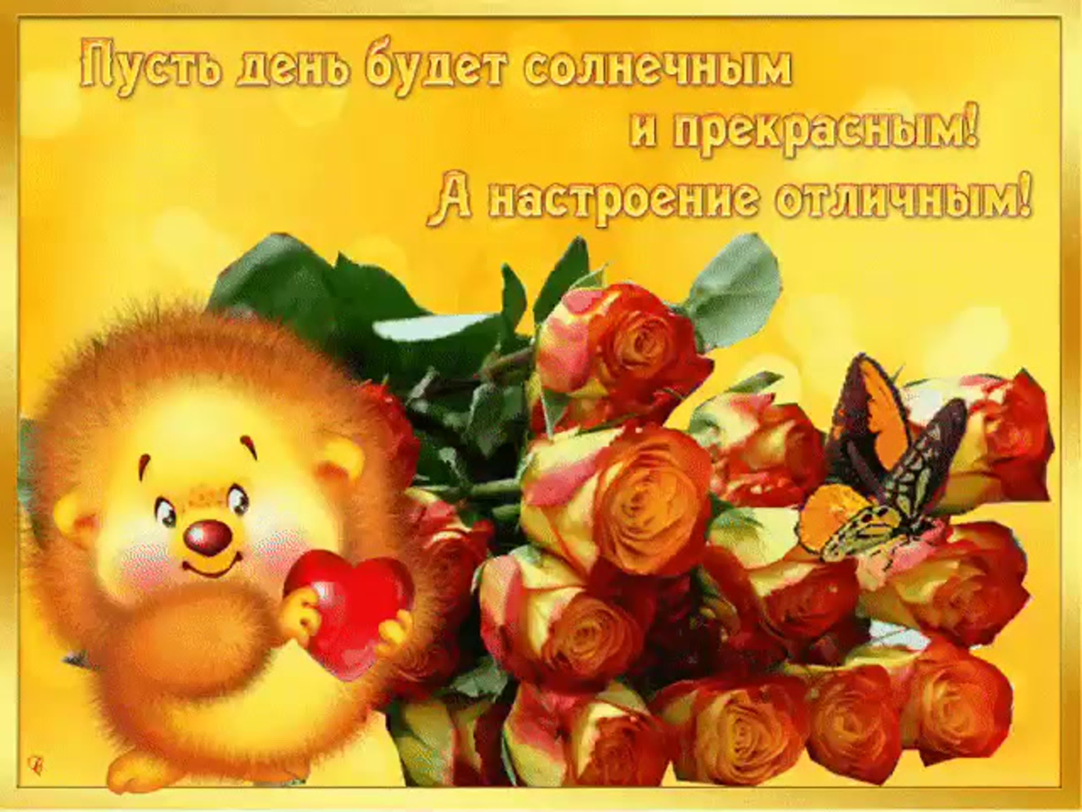 Открытка «С добрым утром»: Солнечного дня и прекрасного настроения!. Тэги: хорошего дня, животное, пожелание, позитив…