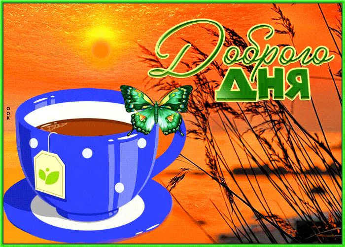 Открытка «Пожелание»: Яркого дня! Уютная чашка и нежная бабочка. Тэги: позитивная, отличное настроение, утро, красивая…