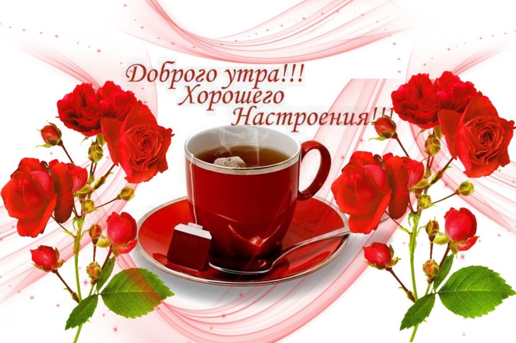 Открытка «С добрым утром»: Прекрасное утро: чай и алые розы для настроения. Тэги: пожелание, позитивная, отличное нас…