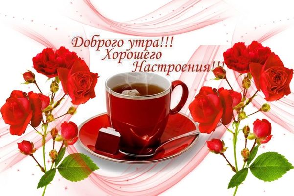 Открытка «С добрым утром»: Прекрасное утро: чай и алые розы для настроения. Тэги: пожелание, позитивная, отличное нас…