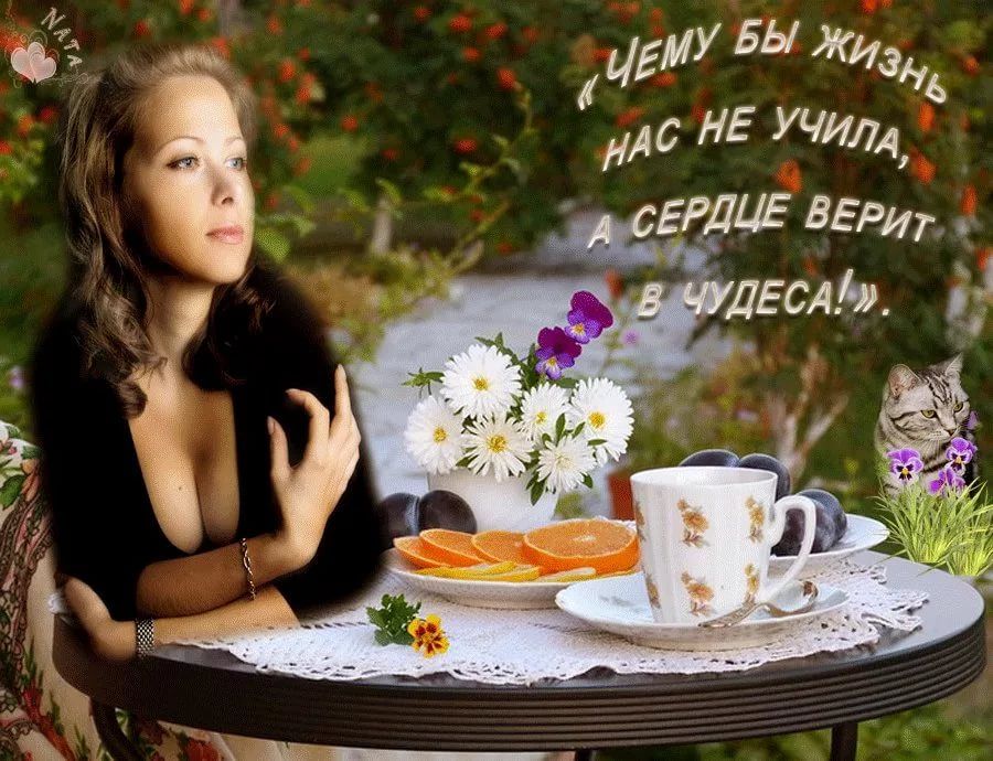 Открытка «Добрый день»: Утренний покой и вера в чудеса. Тэги: философский, Добрый день, красивые, Добрый день, необыч…