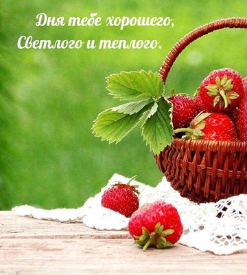 Открытка «Хорошего дня»: Дня тебе хорошего: клубничная свежесть. Тэги: Добрый день, проза, Добрый день и добрые пожел…