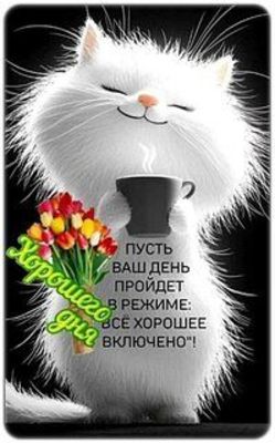 Открытка «Добрый день»: Пушистый кот с букетом желает хорошего дня. Тэги: Добрый день и добрые пожелания, Добрый день…