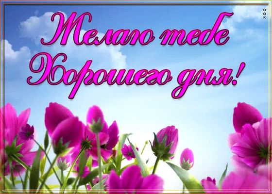 Открытка «Пожелание»: Нежное цветочное пожелание хорошего дня. Тэги: позитивная, утро, красивая, цветок, нежная, весна…