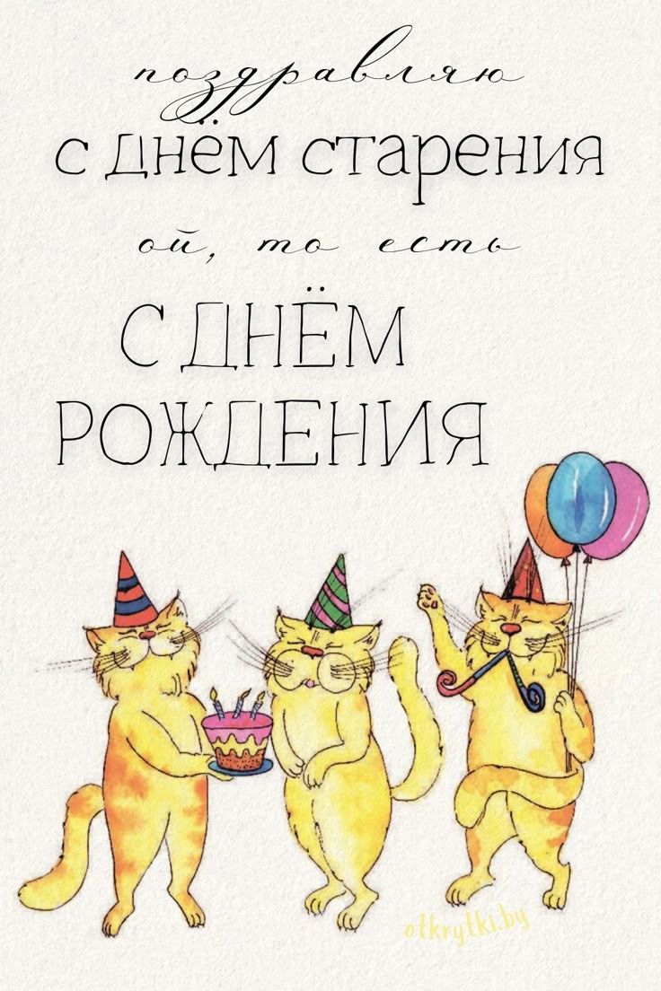 Открытка «С добрым утром»: С Днём Рождения, ой, то есть старения! Юмор котиков. Тэги: с днем рождения, кот, животное…