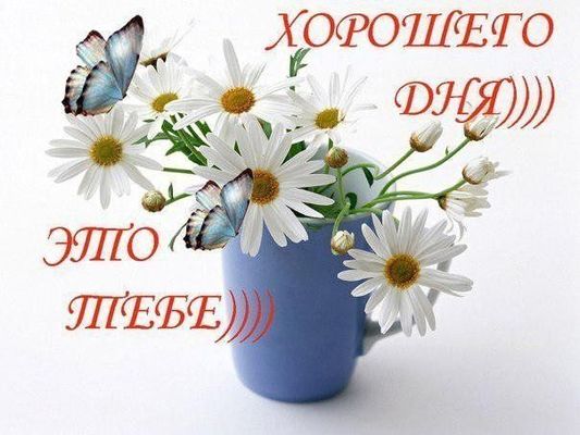 Открытка «Хорошего дня»: Нежные ромашки и бабочки для прекрасного дня!. Тэги: пожелание, позитивная, отличное настрое…