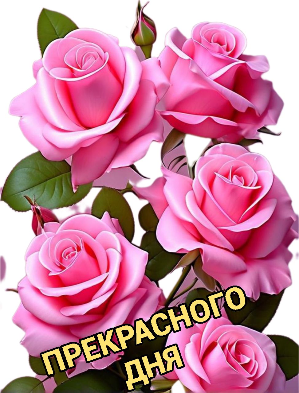 Открытка «Хорошего дня»: Прекрасного дня с букетом нежных розовых роз. Тэги: пожелание, позитивная, отличное настроен…