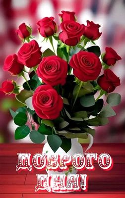 Открытка «Пожелание»: Яркие розы для прекрасного доброго дня. Тэги: позитивная, отличное настроение, красивая, цветок…