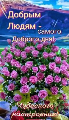 Открытка «Пожелание»: Добрым людям: чудесного настроения и доброго дня!. Тэги: позитивная, утро, красивая, цветок…