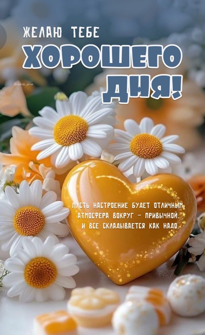 Открытка «Хорошего дня»: Хорошего дня! Нежное сердце и букет ромашек. Тэги: Добрый день, Добрый день и добрые пожелан…