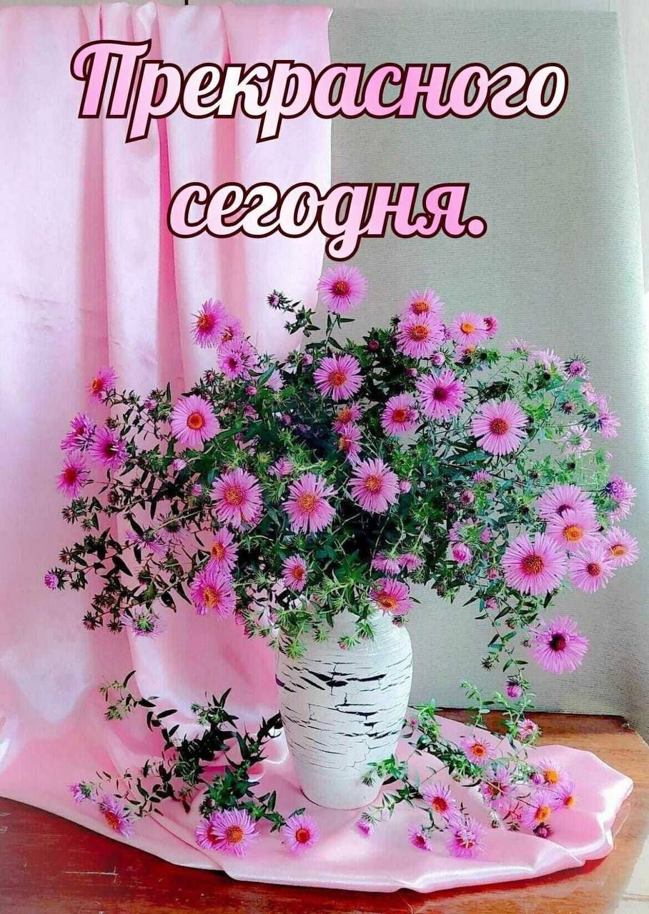 Открытка «С добрым утром»: Нежный букет для прекрасного дня. Тэги: хорошего дня, пожелание, позитивная, отличное наст…