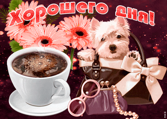 Открытка «Добрый день»: Пушистый друг и кофе: Желаю хорошего дня!. Тэги: Добрый день и добрые пожелания, Добрый день…