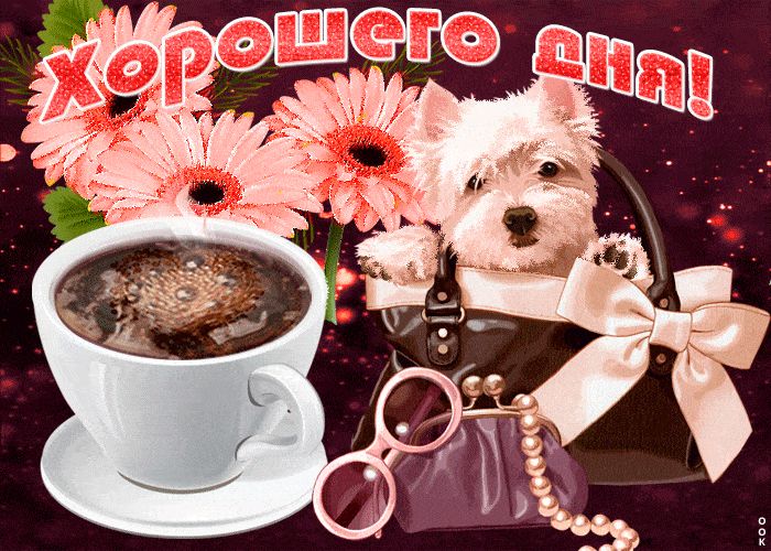 Открытка «Добрый день»: Пушистый друг и кофе: Желаю хорошего дня!. Тэги: Добрый день и добрые пожелания, Добрый день…