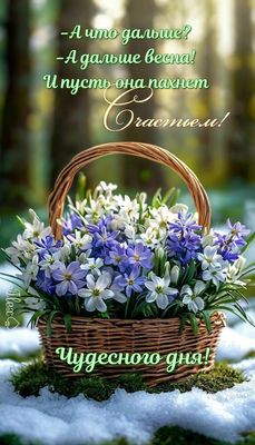 Открытка «Пожелание»: Чудесного дня: весна, цветы и счастье!. Тэги: позитивная, красивая, цветок, счастье, нежная…