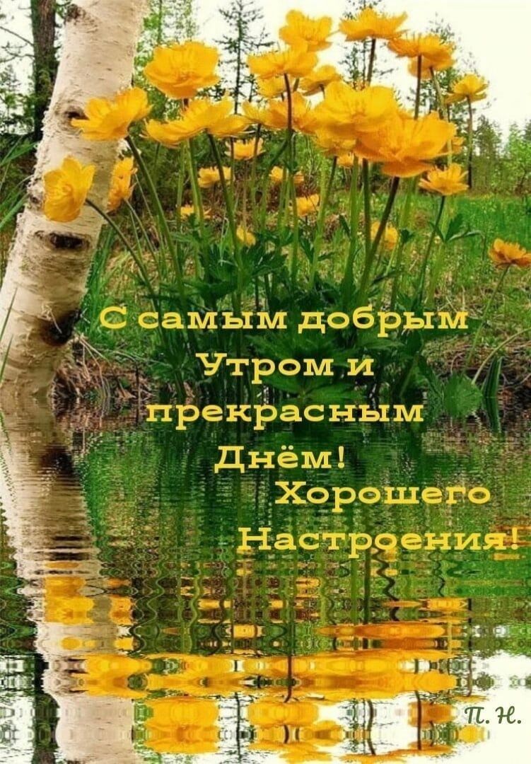 Открытка «С добрым утром»: Доброе утро: яркие купальницы и весеннее настроение. Тэги: Добрый день, С добрым, летним у…